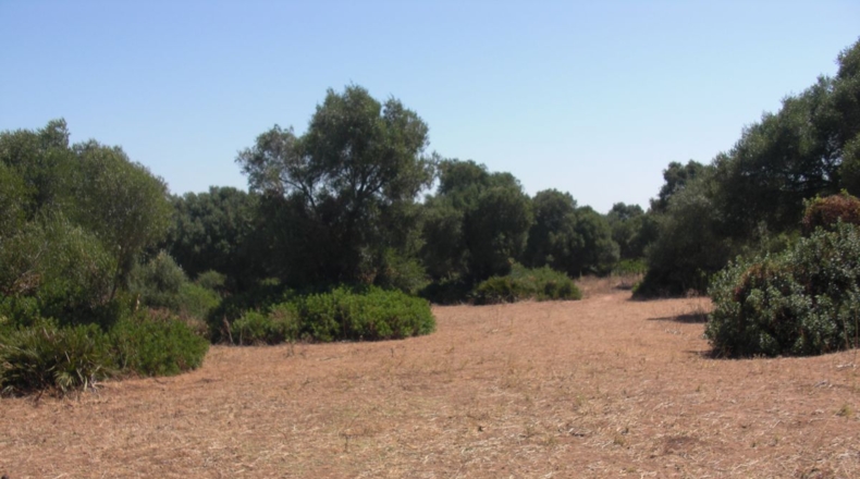 Cádiz - Santa Lucia - 48000m2