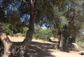 Vejer de la Frontera 0&nbsp;m² 