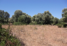 Vejer de la Frontera 0&nbsp;m² 