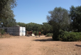 Vejer de la Frontera 0&nbsp;m² 