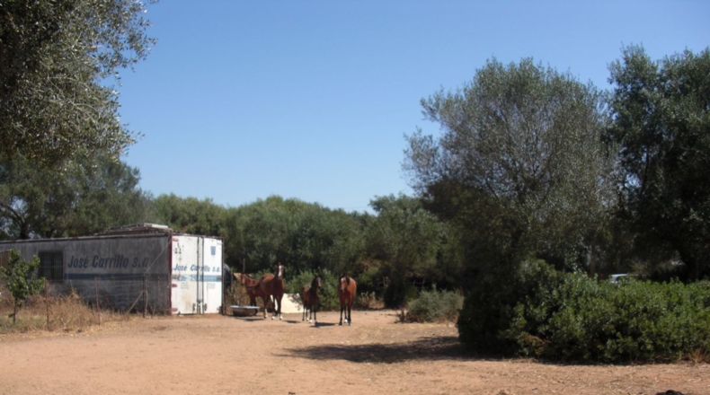 Cádiz - Santa Lucia - 48000m2