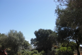Vejer de la Frontera 0&nbsp;m² 