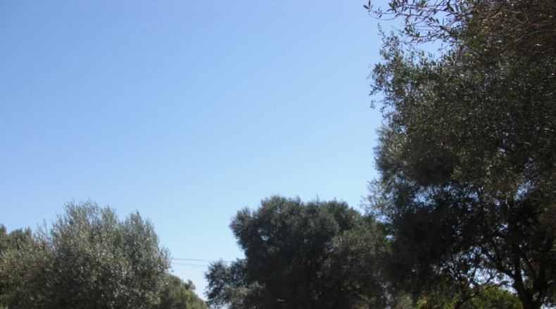 Cádiz - Santa Lucia - 48000m2