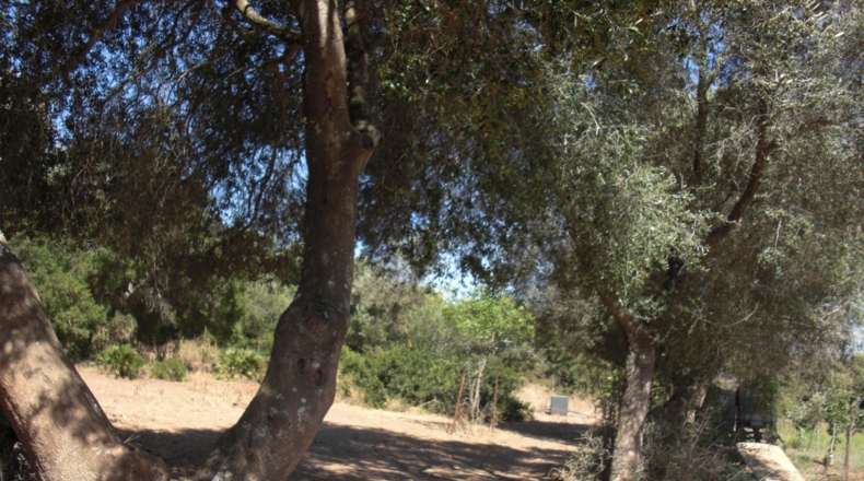 Cádiz - Santa Lucia - 48000m2