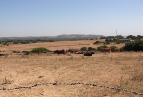Vejer de la Frontera 0&nbsp;m² 