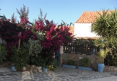 Finca rústica en venda a Vejer de la Frontera ref.: TR61729 foto