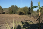 Finca rústica en venda a Vejer de la Frontera ref.: TR61729 foto