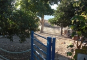 Finca rústica en venda a Vejer de la Frontera ref.: TR61729 foto