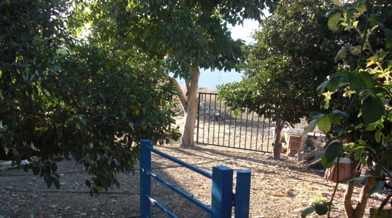 Cádiz - Vejer de la Frontera - 14250m2