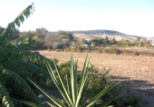 Finca rústica en venda a Vejer de la Frontera ref.: TR61729 foto