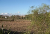 Finca rústica en venda a Vejer de la Frontera ref.: TR61729 foto