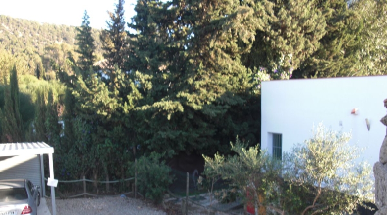 Cádiz - Vejer de la Frontera - 14250m2
