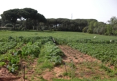 Finca rústica en venda a Vejer de la Frontera ref.: TR104461 foto