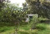 Finca rústica en venda a Vejer de la Frontera ref.: TR104461 foto