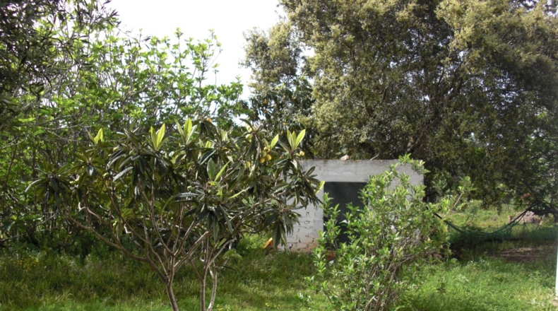 Cádiz - La Muela - 6400m2