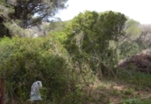 Finca rústica en venda a Vejer de la Frontera ref.: TR104461 foto
