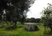 Finca rústica en venda a Vejer de la Frontera ref.: TR104461 foto