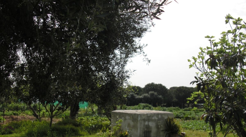 Cádiz - La Muela - 6400m2