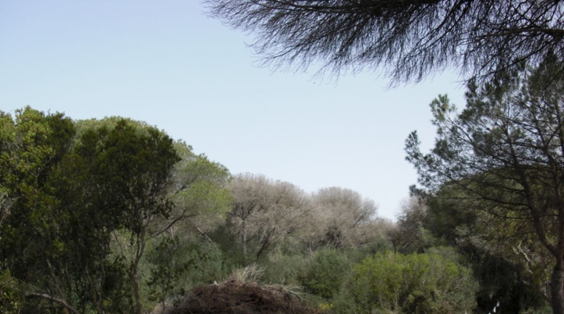 Cádiz - La Muela - 6400m2