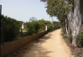 Finca rústica en venda a Vejer de la Frontera ref.: TR104461 foto
