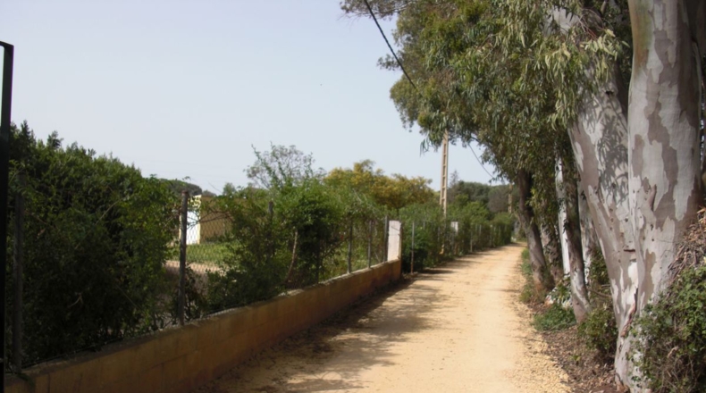 Cádiz - La Muela - 6400m2
