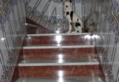 Village house for sale in Vejer de la Frontera ref: TR105208 photo