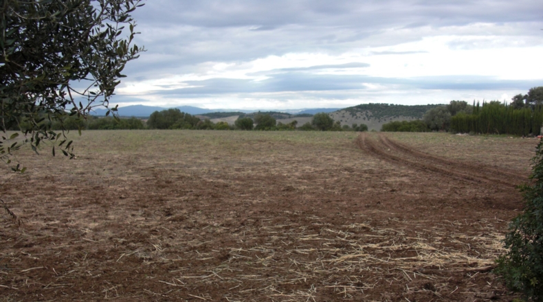 Cádiz - Patría - 17560m2