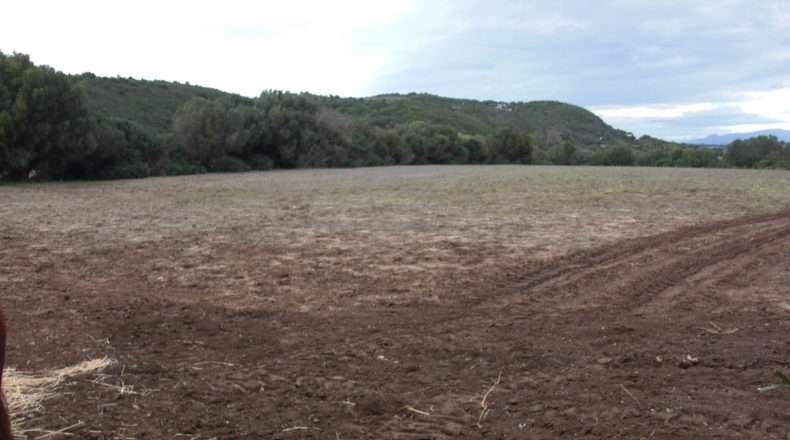 Cádiz - Patría - 17560m2