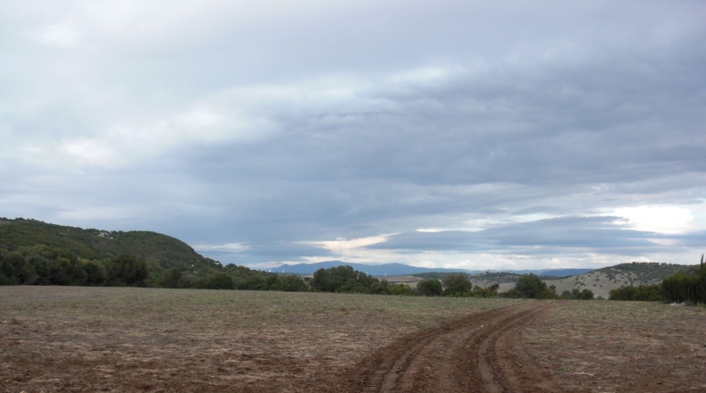 Cádiz - Patría - 17560m2