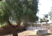 Xalet independent amb terreny en venda a Barbate ref.: TR307028 foto