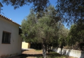 Xalet independent amb terreny en venda a Barbate ref.: TR307028 foto