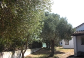 Xalet independent amb terreny en venda a Barbate ref.: TR307028 foto