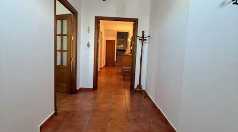 Cádiz - Benalup-Casas Viejas - 200m2