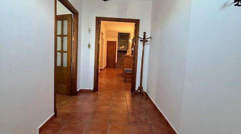Cádiz - Benalup-Casas Viejas - 200m2