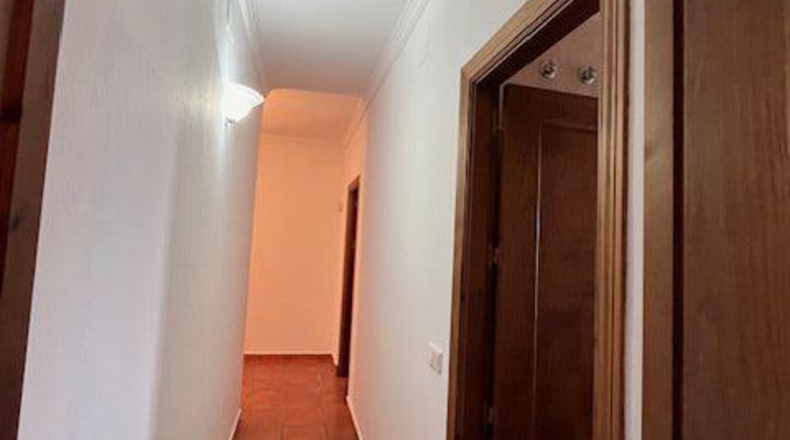 Cádiz - Benalup-Casas Viejas - 200m2