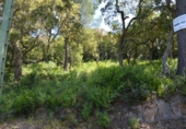 Sòl urbà en venda a Santa Cristina d'Aro ref.: TR54351 foto