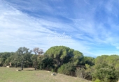 Finca rústica en venta en Llagostera ref: TR15108 foto