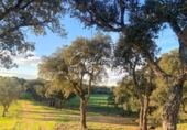 Finca rústica en venta en Llagostera ref: TR15108 foto