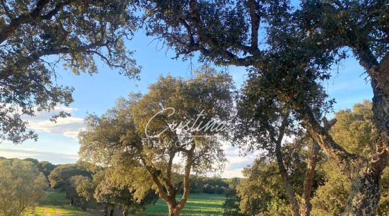 Gerona - Llagostera - 148000m2