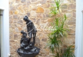 Finca rústica en venta en Santa Cristina d'Aro ref: TR74791 foto
