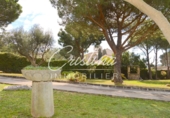 Finca rústica en venta en Santa Cristina d'Aro ref: TR74791 foto