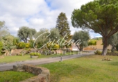 Finca rústica en venta en Santa Cristina d'Aro ref: TR74791 foto