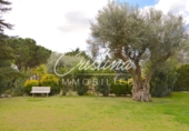 Finca rústica en venta en Santa Cristina d'Aro ref: TR74791 foto