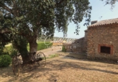 Finca rústica en venda a Santa Cristina d'Aro ref.: TR80872 foto