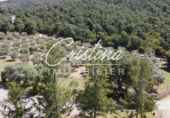 Masía con terreno en venta en Calonge ref: TR201874 foto