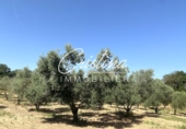 Masía con terreno en venta en Calonge ref: TR201874 foto