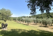 Masía con terreno en venta en Calonge ref: TR201874 foto