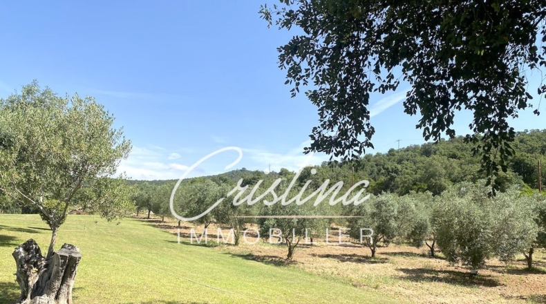 Gerona - Calonge - 24200m2