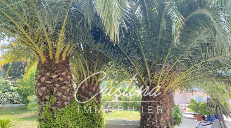 Gerona - Santa Cristina d'Aro - 1000m2