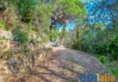 Xalet independent amb terreny en venda a Sant Feliu de Guíxols ref.: TR252869 foto